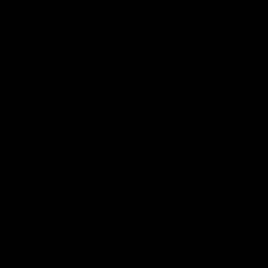 Meet your Posher, Rylee